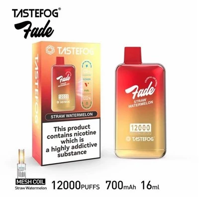 TastRefog falmer 12000 puffs vape